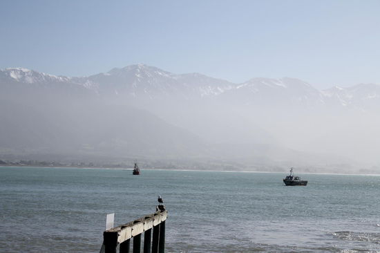 Kaikoura