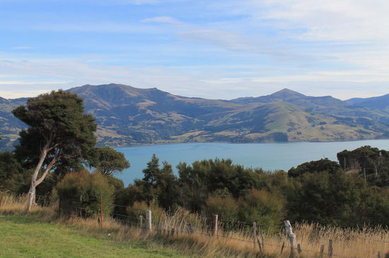 Blick von unserem Campingplatz des Onuku Fam Hostels, Akaroa