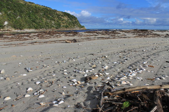 Little Wanganui Beach