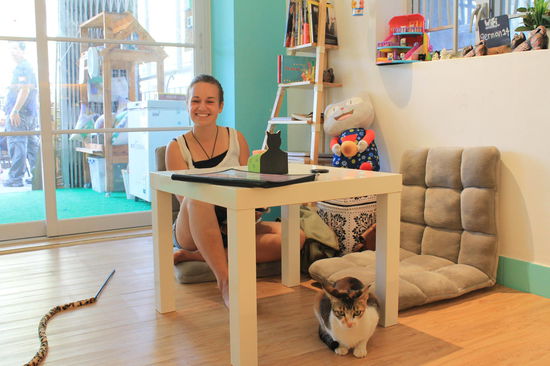 Lara im Katzencafé