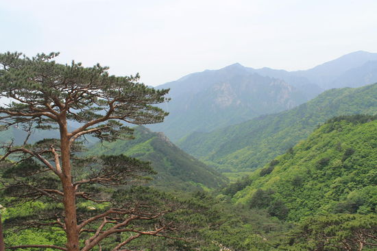 Seoraksan Nationalpark