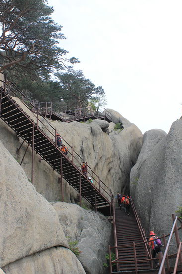 Auf dem Weg zum Gipfel