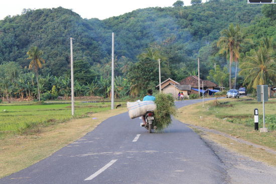 Auf Lombok wird einfach alles mit Motorrollern transportiert