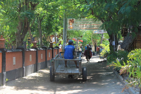 Pferdekutsche auf Gili Air