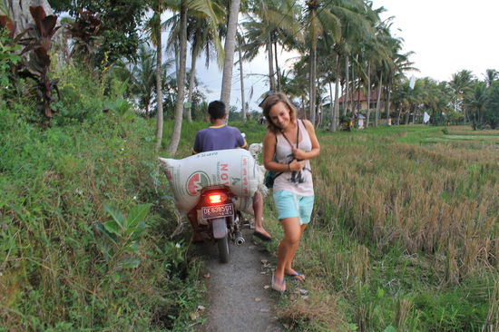 Unerwarteter Verkehr mitten in den Reisfeldern