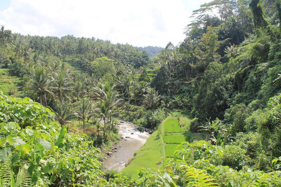 Spaziergang durch Privatgelaende im Sungai Ayung Valley