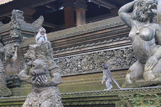 Sacred Monkey Forest