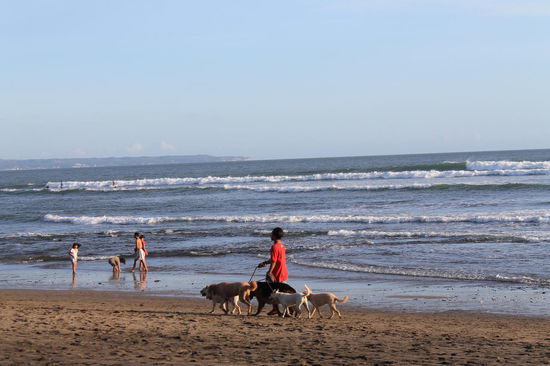 Dog-Walker am Strand Batu Bolong