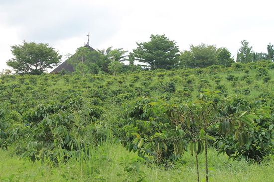Monastery of Transfiguration bei Malaybalay. In dem Kloster wird Kaffee angepflanzt und verkauft, der Shop war aber leider bei unserem Besuch geschlossen.