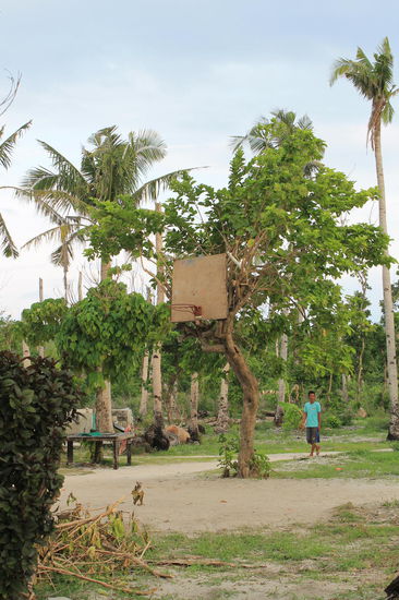 Ueberall auf den Philippinen gibt es Basketballkoerbe - meistens sind sie so erfinderisch gebaut wie dieser hier. Rafe Bartholomew hat ein Buch ueber diese Liebe der Philippiner_innen zu Basketball geschrieben: "Pacific Rims: Beermen Ballin’ in Flip-Flops and Philippines’ Unlikely Love Affair with Basketball".