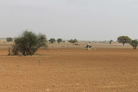 Der Traktor pfluegt den Wuestenboden um, um Felder anzulegen