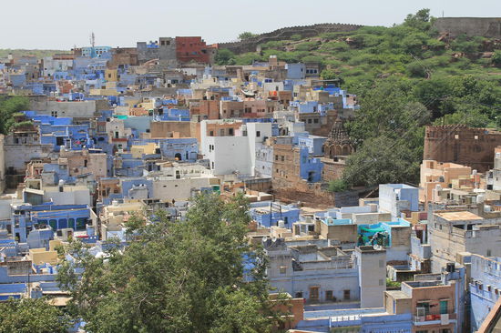 die "blaue" Stadt Jodhpur
