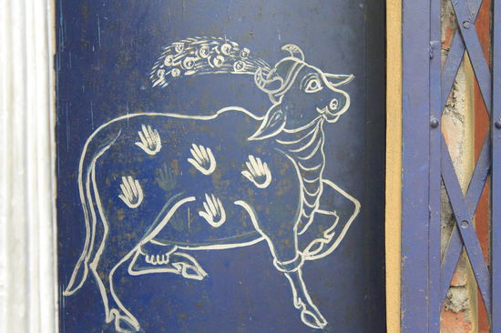 Heilige Kuh an einem kleinen Tempel