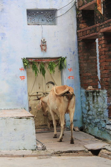 "Knock knock" jemand zu Hause?