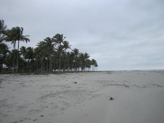 So sah der ganze Strand davor aus