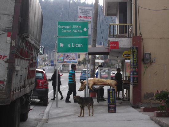 Hornado - Schwein im Ofen - Wir haben Hornado aber nicht dort gegessen, sondern auf dem Markt