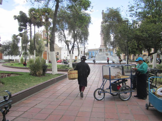Parque Maldonado in Riobamba