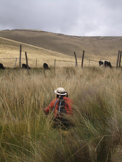 Chris Gastmutter Rosa beim arbeiten auf dem Feld
