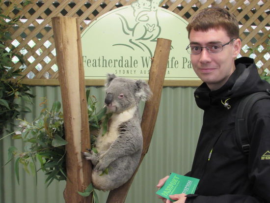 Da lässt sich jemand nicht aus der Ruhe bringen - so entspannt in der Astgabel herumhängend 