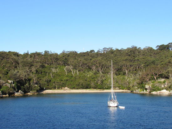 Kleine Bucht, in der nach Einbruch der Dämmerung Zwerpinguine an Land kommen sollen.