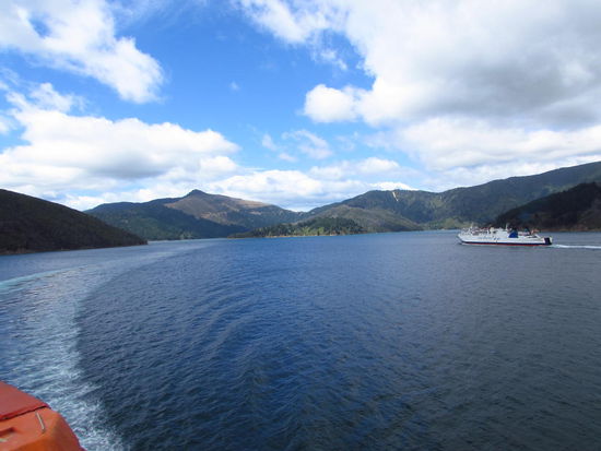 Die Südinsel begrüßt uns mit tollen ersten Eindrücken von den Marlborough Sounds.