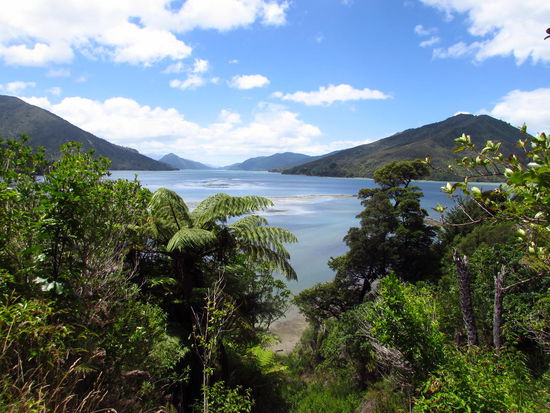 Ein Seitenarm des Pelorus Sound.