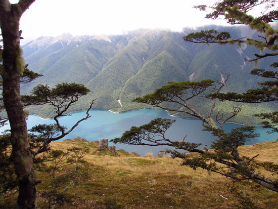 Lake Rotoiti während unserer Wanderung auf dem Mount Roberts.