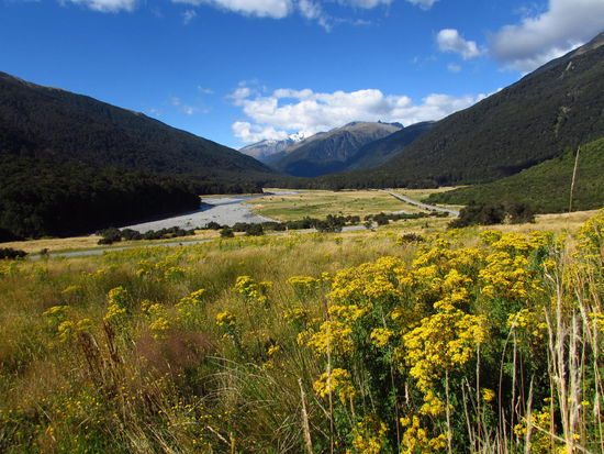 Blick von unserem Campingplatz am Haastpass in Richtung Westen.