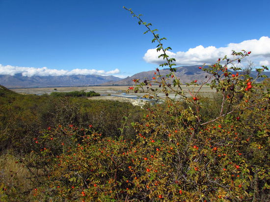 Der Herbst hält Einzug in Neuseeland.