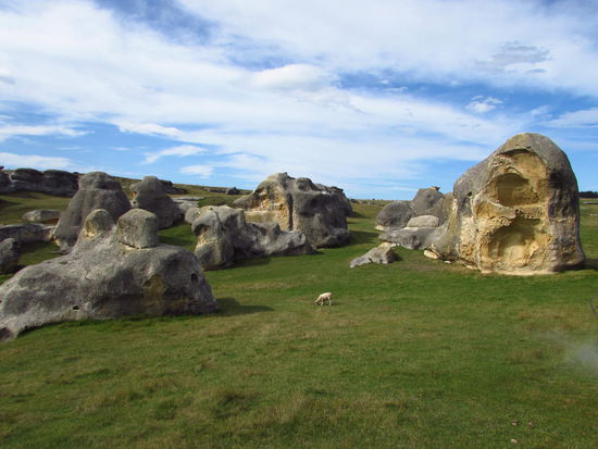 Mit ein bisschen Fantasie kann man sich die Elefanten schon vorstellen...
