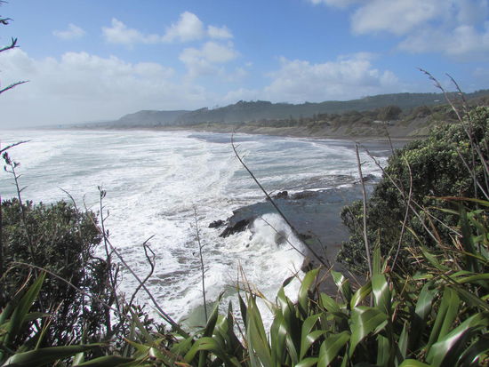 Blick zum Strand von Muriwai.