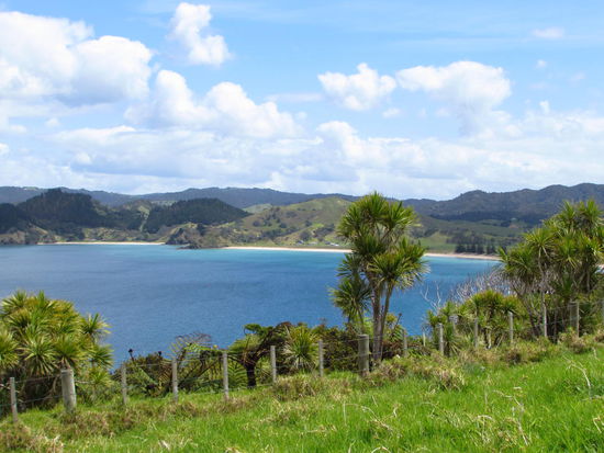 Wunderschöne Bucht bei Whananaki - so wie man sich Neuseeland vorstellt!