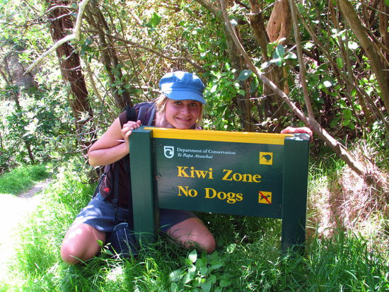 Wenn schon keinen echten Kiwi gesehen, dann wenigstens gewusst, dass sie höchstwahrscheinlich irgendwo in der Nähe schlafen !