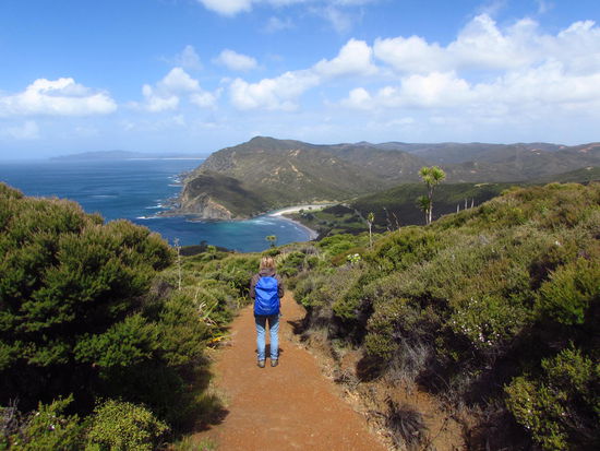Blick auf die wunderschöne Tapotupotu Bay, an der unser Campingplatz liegt.