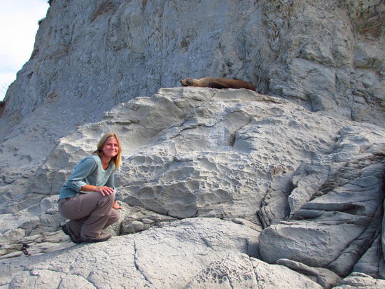 Neuseeländische Seebären lassen sich nur durch wenig aus der Ruhe bringen...