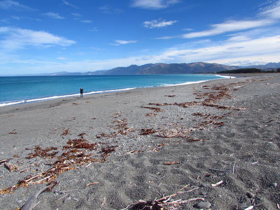 Blick von der Kaikoura-Halbinsel in Richtung Südwesten.