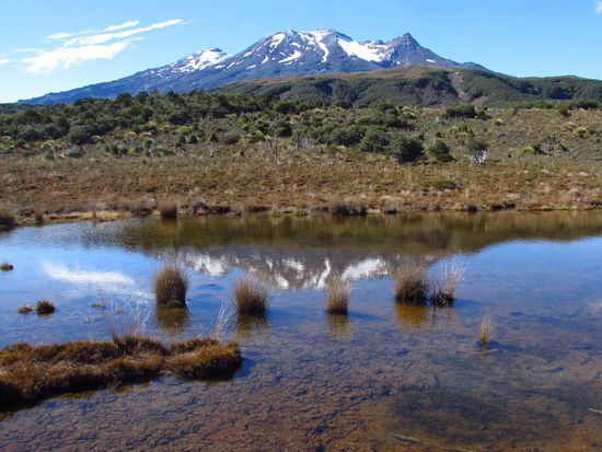 Majestätisch: Mount Ruapehu.