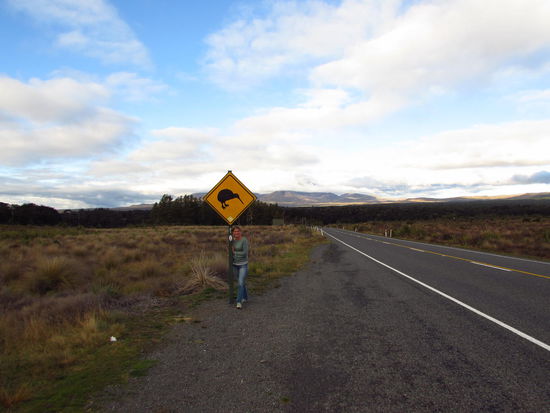 Kiwis im Tongariro Nationalpark - irgendwo im Hintergrund ist theoretisch Mount Ngauruhoe, der Schicksalsberg.