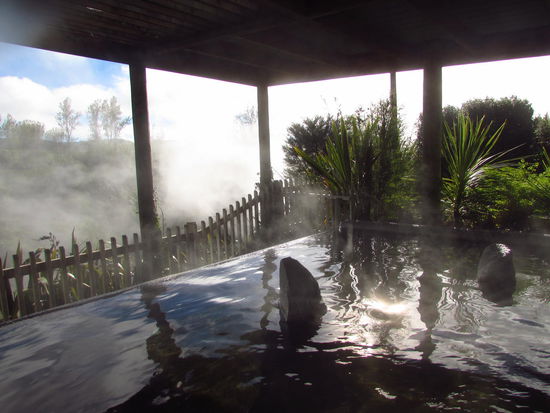 Die Hot Pools in Waikite Valley.