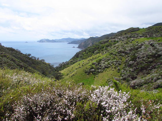 Auf unserer Wanderung von Stony Bay zu Fletcher Bay.