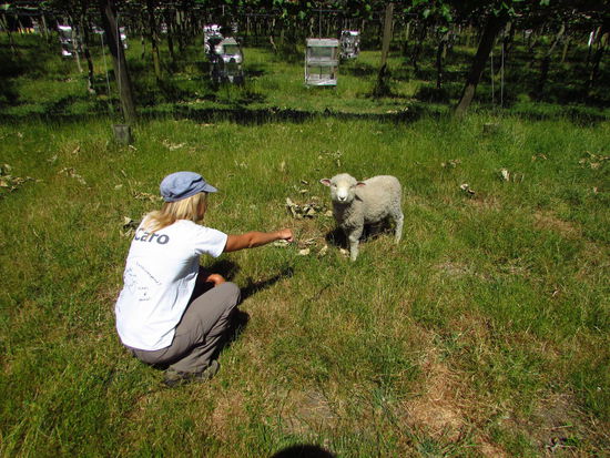 Brian wurde von seiner Mama verstoßen und ist nun das Ziehkind unserer Gastfamilie 