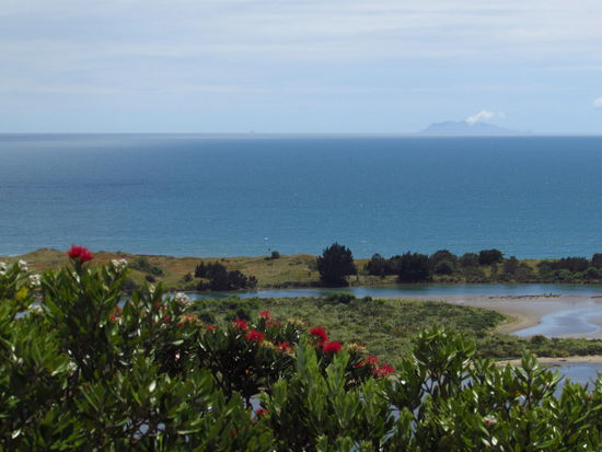 Die Vulkaninsel White Island qualmt so vor sich hin.