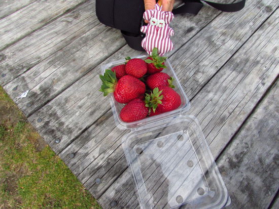 Der Vorteil von Weihnachten im Sommer: frische Erdbeeren!