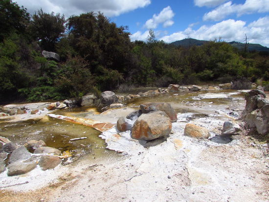 Die Schwefelfelder von Rotorua - könnte auch auf dem Mond sein, ist aber noch auf dieser Erde. Hier zeigt sich, wie es auf der Urerde (vor mehr als 3,5 Mrd Jahren) ausgesehen haben muss...