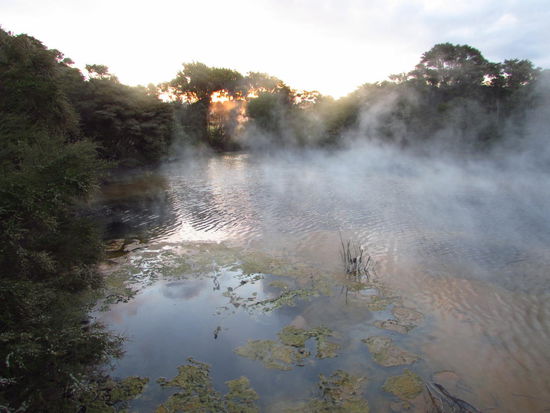 Sonnenuntergang in Rotorua. Die Teiche sind durch die Erdwärme so warm, dass man sich wie in einer Dampfsauna fühlt.
Diese Stadt ist ein Paradies für Geophysiker! Hier können wir sehen, was die Erde im Innersten zusammenhält! 