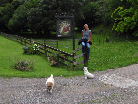 Hier gehts zu unserem zu Hause für die Weihnachstage -  die Bentley- Farm, nur komplett mit Stanley und Olive .