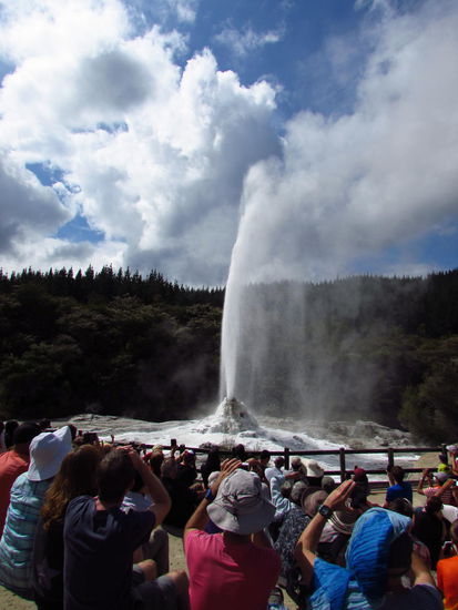 Lady Knox Geysir. Die Eruption dieses Geysirs findet jeden Tag gegen 10.15 Uhr statt. Dabei wird mit etwas Seife zum Herabsetzen der Oberflächenspannung des Wassers etwas nachgeholfen. Ein kurzes, aber lohnenswertes Spektakel!