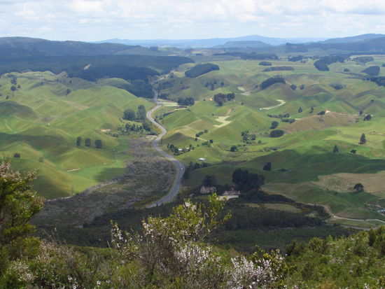 Auf dem Rainbow Mountain mit Blick Richtung Nordwesten - als hätte einer ein glattes Tischtuch an vielen Stellen noch oben gezogen und so unzählige Hügel hinterlassen. Typisch Neuseeland!