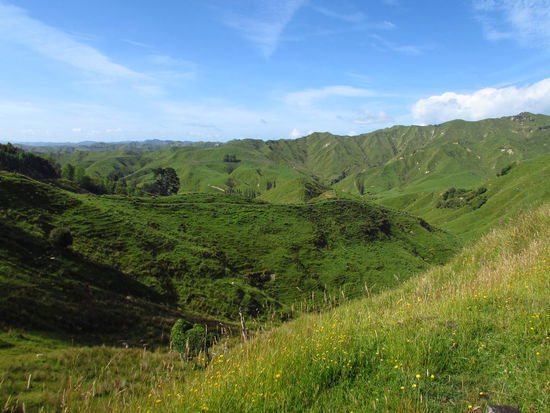 Weit und breit nichts als grüne Hügel mit oder ohne Schafe.