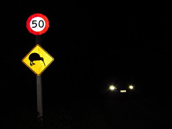 Im Reservat fanden wir erst das 2. "Achtung-Kiwi"-Schild, dass uns während unserer Zeit in Neuseeland bisher begegnet war.